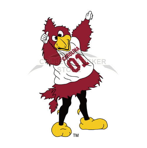 Homemade South Carolina Gamecocks Iron-on Transfers (Wall Stickers)NO.6195
